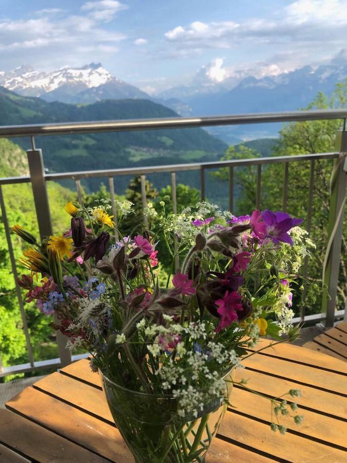 Nouveau! Dans Residence Alexandra House Leysin Dış mekan fotoğraf
